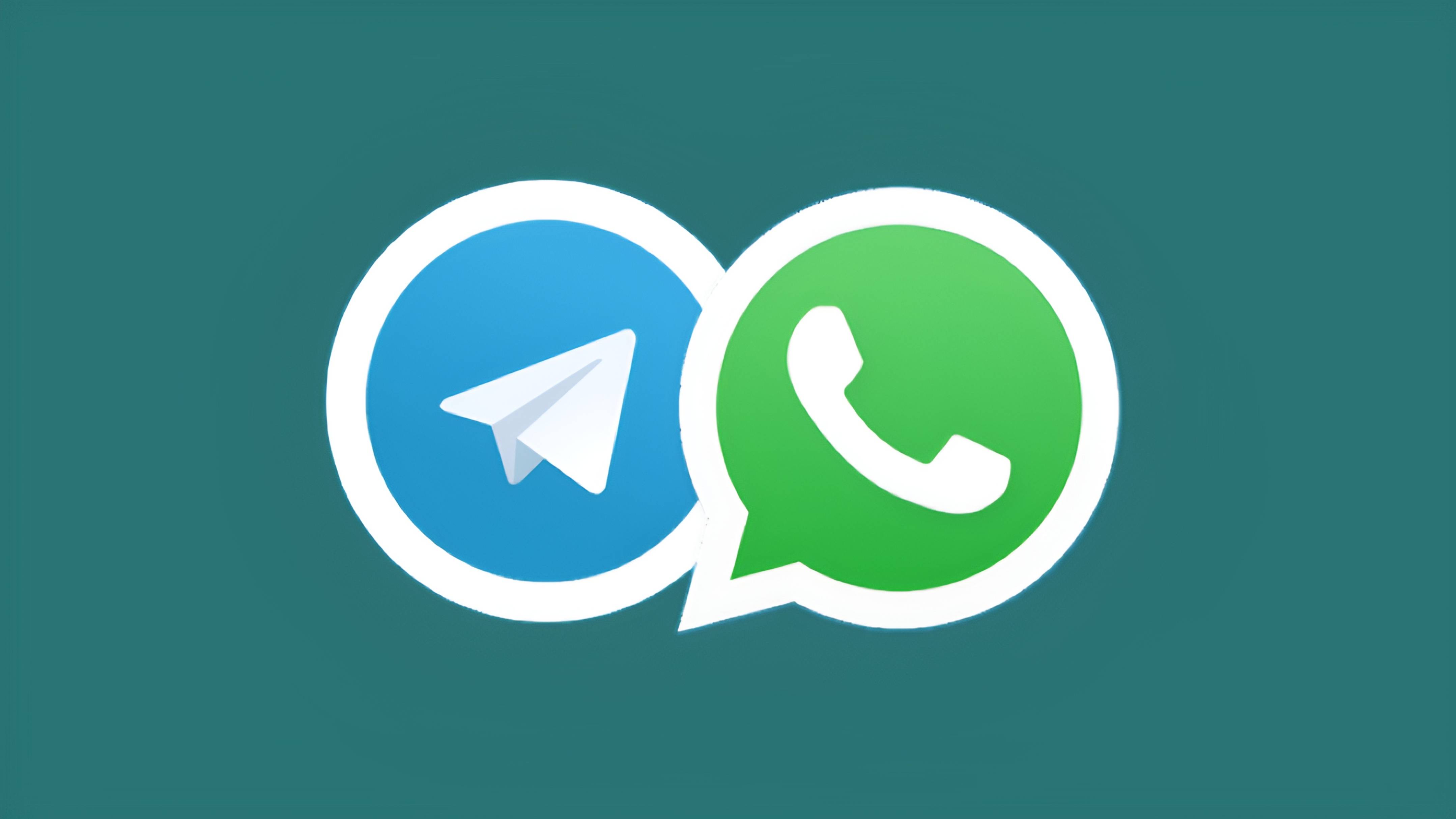 whatsapp手机端,whatsapp手机端翻译功能在哪里