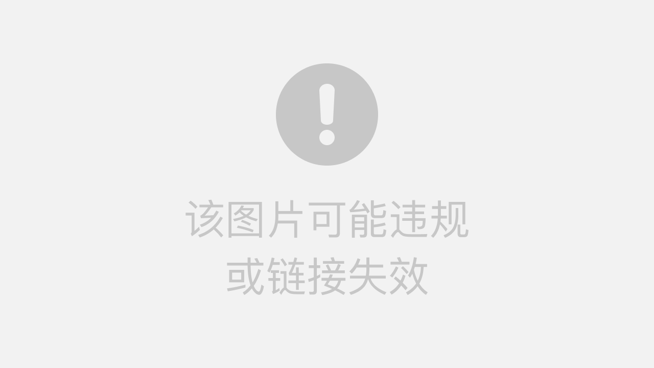 9.1免费版下载安装软件,9 1免费版pro 破解版